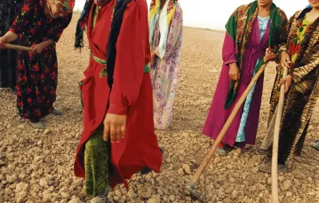 Na polach bawełny w Tadżykistanie / Fot. Matilde Gattoni / CORBIS