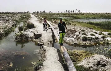 Ropociąg przecinający bagna i uroczyska koło West Qurna pod Basrą – tutaj, w historycznej Mezopotamii, badacze umiejscawiają biblijny Eden.  / Fot. Atef Hassan / REUTERS / FORUM