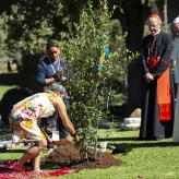 Zasadzenie dębu w ogrodach watykańskich z okazji Święta Stworzenia i Synodu Amazońskiego, październik 2019 r. // Fot. Antoine Mekary / Godong / East News