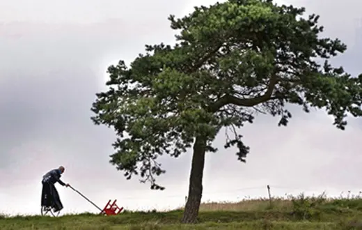 Kadr z filmu „Magiczne drzewo” Andrzeja Maleszki / fot. materiały dystrybutora / 