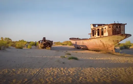 bawełna pije jak smok