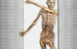Oryginalna mumia Ötziego. Zwłoki znaleziono dokładnie w takiej pozycji jak na zdjęciu /  Muzeum Archeologiczne Południowego Tyrolu 