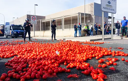Rozsypane pomidory na wjeździe do portu towarowego w Motril w ramach protestu hiszpańskich rolników. Andaluzja, Hiszpania 14 lutego 2024 r. / Fot. Agnieszka Zielińska