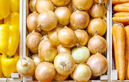 Gerain0812 / Shutterstock