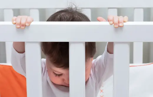 // Fot. Silvia / Adobe Stock