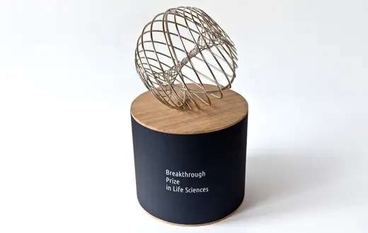 Materiały prasowe organizatora