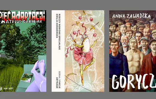 Mateusz Górniak, „Pięć adaptacji”, Ha!art; Emilia Konwerska, „Rzeczy robione specjalnie”, ArtRage; Anna Zawadzka, „Gorycz”, Czarne, Wołowiec 2025 // materiały prasowe