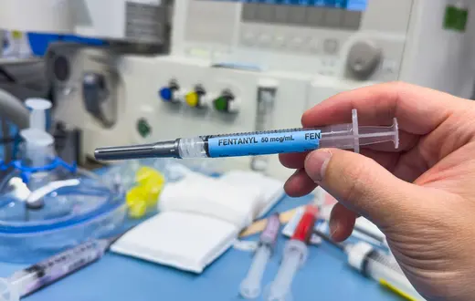 // Fot. Your Hand Please / Shutterstock