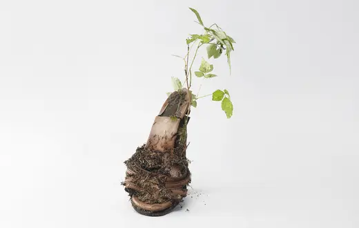 Termin ekopoetyka może obejmować wiele praktyk kulturowych - to doświadczenie wspólnotowego działania w sytuacji kryzysu. Na zdjęciu: Praca Diany Lelonek z serii: „Centrum Żywych Istot”, 2016 r. // Fot. Diana Lelonek / materiały prasowe