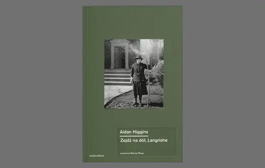Aidan Higgins, „Zejdź na dół, Langrishe”, tłum. Maciej Płaza, Ossolineum // materiały prasowe