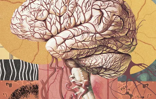 Neurony i układy (2026) // il. Natalia Polasik / @moonwaterpl