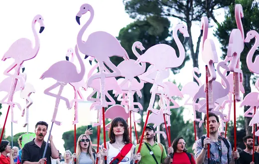 Symbolem protestów w Albanii stały się flamingi, żyjące w delcie Vjosa-Narta. Premier Edi Rama zgodził się ograniczyć status ochronny delty, aby umożliwić tam budowę luksusowego kurortu przez rodzinę prezydenta Donalda Trumpa. Tirana, 17 czerwca 2026 r. // Fot. Florion Goga / Reuters / Forum