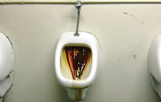 Pisuary w „polskiej” toalecie /fot. Tomasz Czech / 