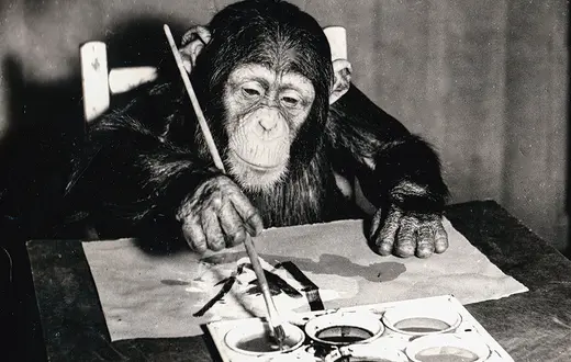 Szympans Congo maluje obraz w londyńskim zoo. 1958 r. / / WORLD HISTORY ARCHIVE / B&EW