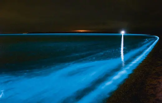 Bioluminescencja fal. Gippsland Lakes Coastal Park w Australii / GETTY IMAGES