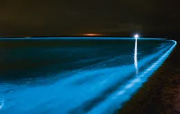 Bioluminescencja fal. Gippsland Lakes Coastal Park w Australii / GETTY IMAGES
