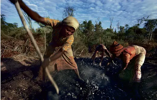 Kopiący węgiel, okolice Amboasary, Madagaskar / fot. Frans lanTing, Corbis / 