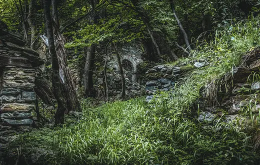  / MARTINSCHUSCHI / PIXABAY