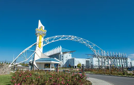 Stadion Sheriffa Tyraspol. Naddniestrze, 15 października 2017 r. / DANIEL DMITRIEW / FORUM