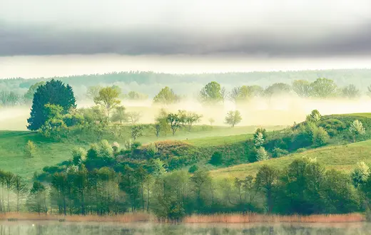  / ZBIGNIEW NURZYŃSKI / ADOBE STOCK