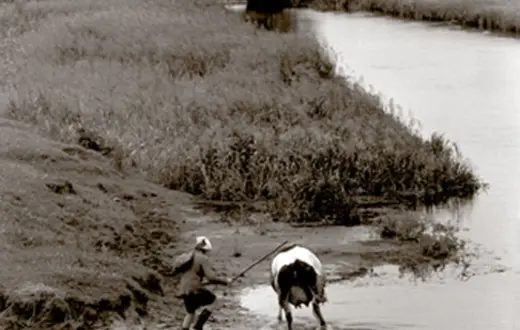 Pejzaż polski /fot. Wojciech Plewiński / 
