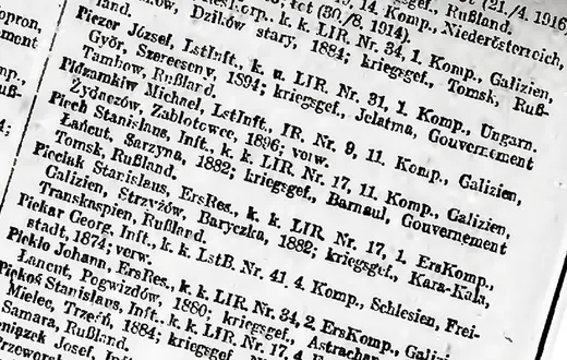 Polacy spod Rzeszowa, Łańcuta, Mielca, Przeworska... Fragment oficjalnej listy poległych, rannych i wziętych do niewoli żołnierzy armii austro-węgierskiej z czerwca 1916 r. / Fot. NATIONAL LIBRANY OF THE CZECH REPUBLIC