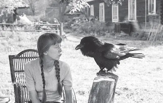 Simona Kossak z krukiem Koraskiem w leśniczówce Dziedzinka w Puszczy Białowieskiej, 15 października 1974 r. / Fot. Maciej Musiał / PAP