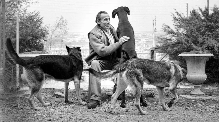 Louis-Ferdinand Celine ze swoimi psami w Meudon. Francja, ok. 1955 r. // Fot. Roger Viollet / Getty Images