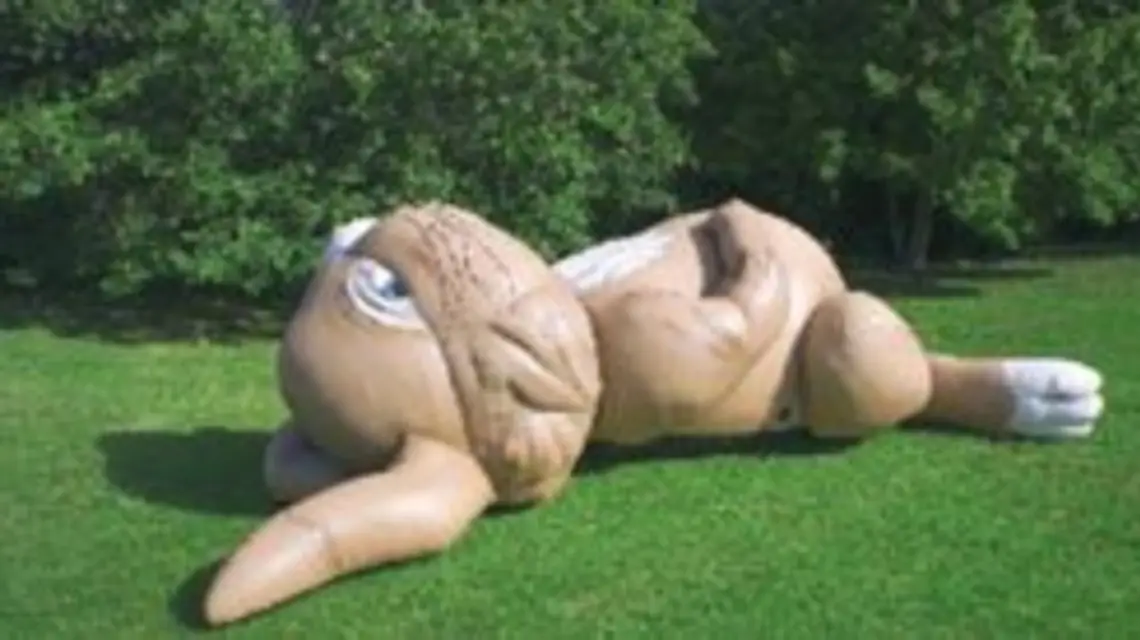 Michael Parekowhai, "Jim McMurty", 2004, nylon i barwniki / 