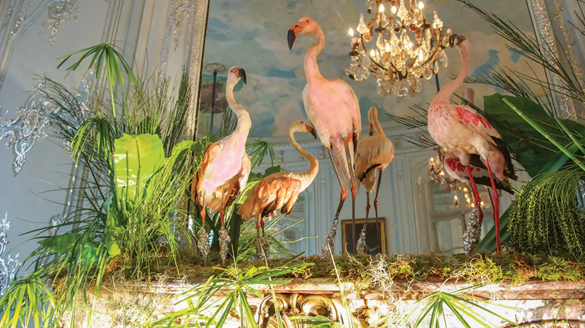 Kolekcja wypchanych flamingów w Savile Club. Londyn 2011 r. / MARK MAKELA / GETTY IMAGES