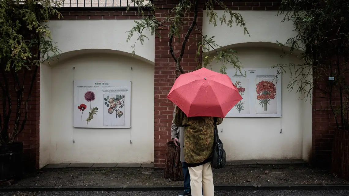 Wernisaż: "Ogród malowany" / Fot. Kamila Zarembska