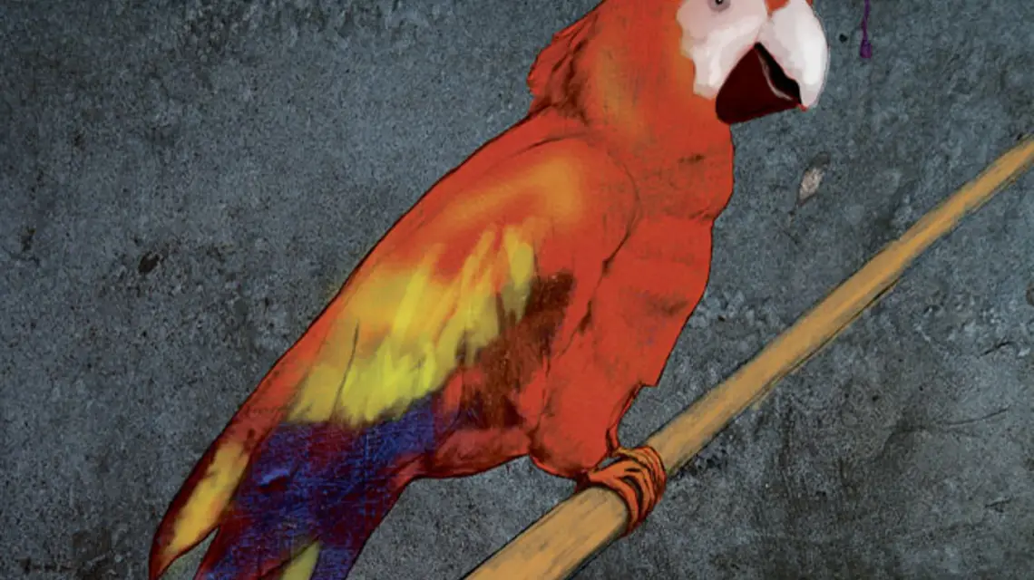 Wyższa Szkoła Plagiatu / rys. Marek Tomasik / 