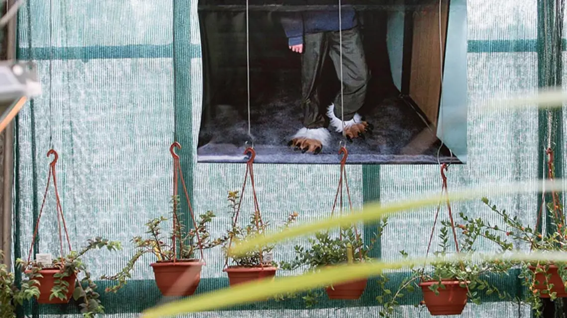 Wystawa Kuby Dąbrowskiego „Fauna i flora w ogrodzie botanicznym w Krakowie”. Miesiąc Fotografii w Krakowie, 11 maja 2006 r. / Fot. Grażyna Makara