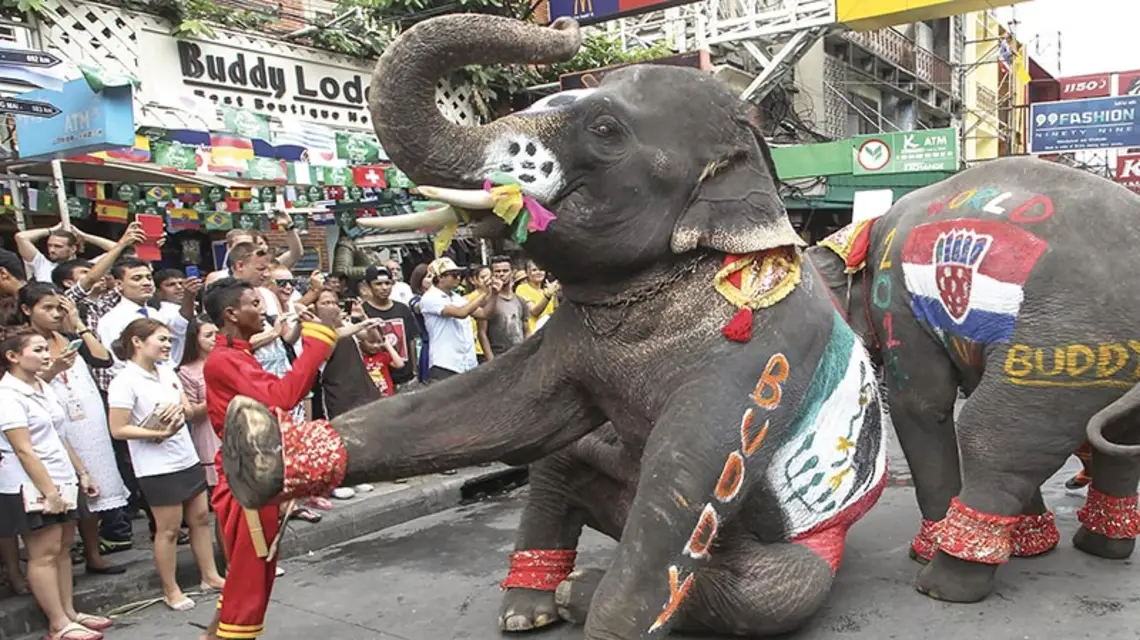 Występ z udziałem słoni podczas święta z okazji rozpoczęcia piłkarskich mistrzostw świata w Brazylii, Bangkok, Tajlandia, czerwiec 2014 r. / Fot. AP / EAST NEWS