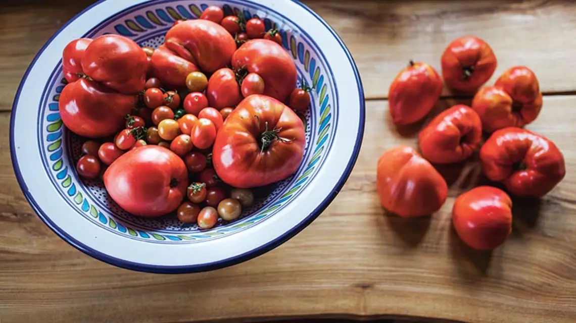  / Fot. Grażyna Makara