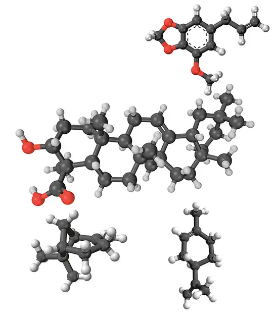  / Fot. WIKIPEDIA / PIXABAY.COM