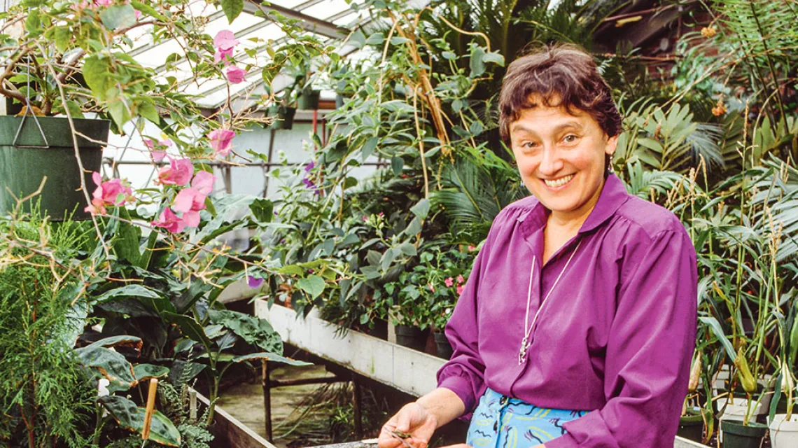 Amerykańska biolożka Lynn Margulis w szklarni, ok. 1990 r. / NANCY R. SCHIFF / GETTY IMAGES