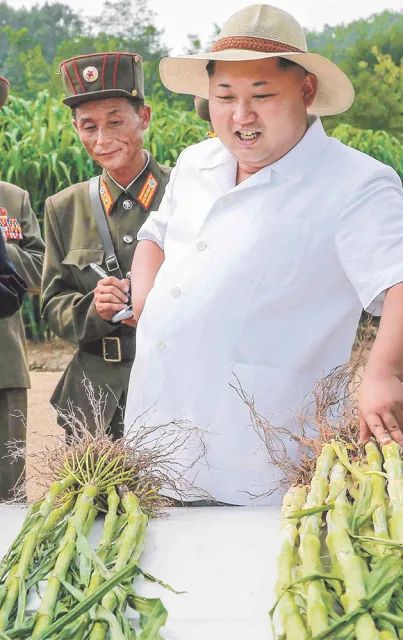 Przywódca Korei Północnej Kim Dzong Un z wizytą w kołchozie nr 1116, sierpień 2015 r. / Fot. KCNA / EAST NEWS