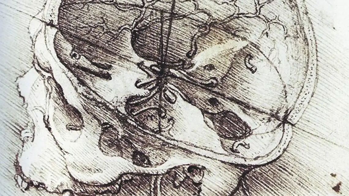 Leonardo da Vinci, przekrój przez czaszkę człowieka; ok. 1489 r. / Fot. drawingsofleonardo.org