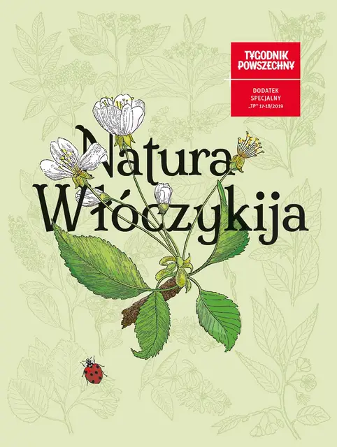  / Okładka: Anna Prusiewicz, Renata Surowiec / Do lasu