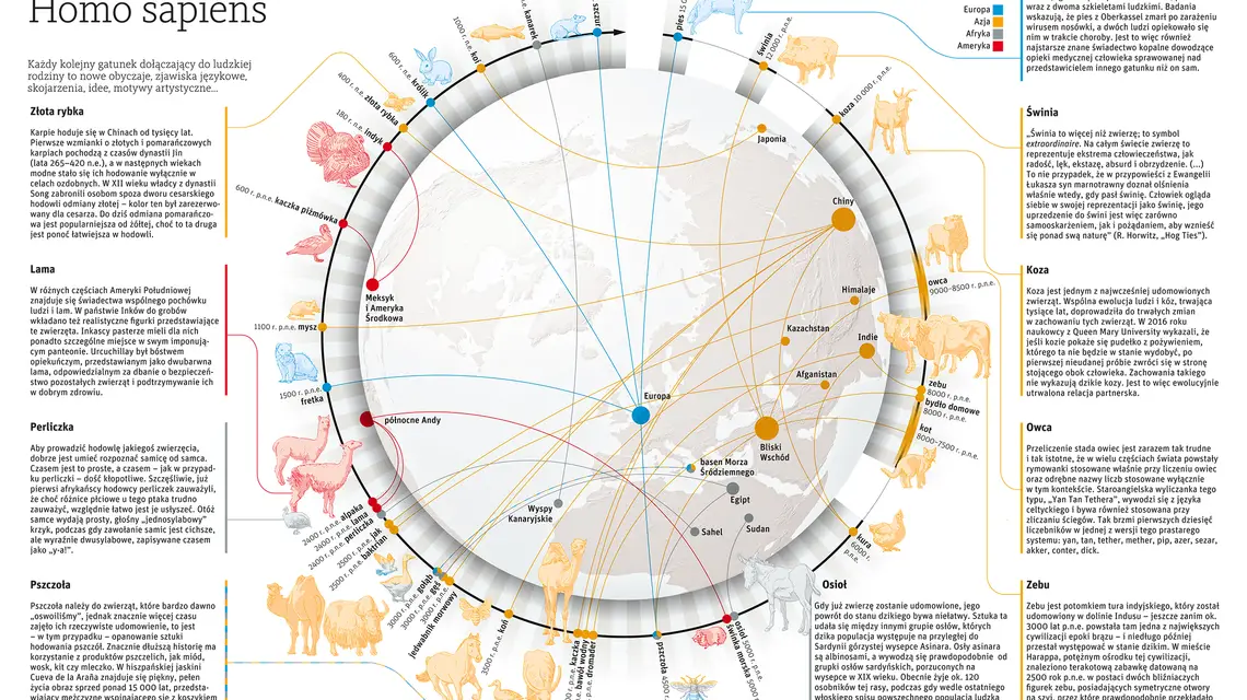  / infografika: Lech Mazurczyk