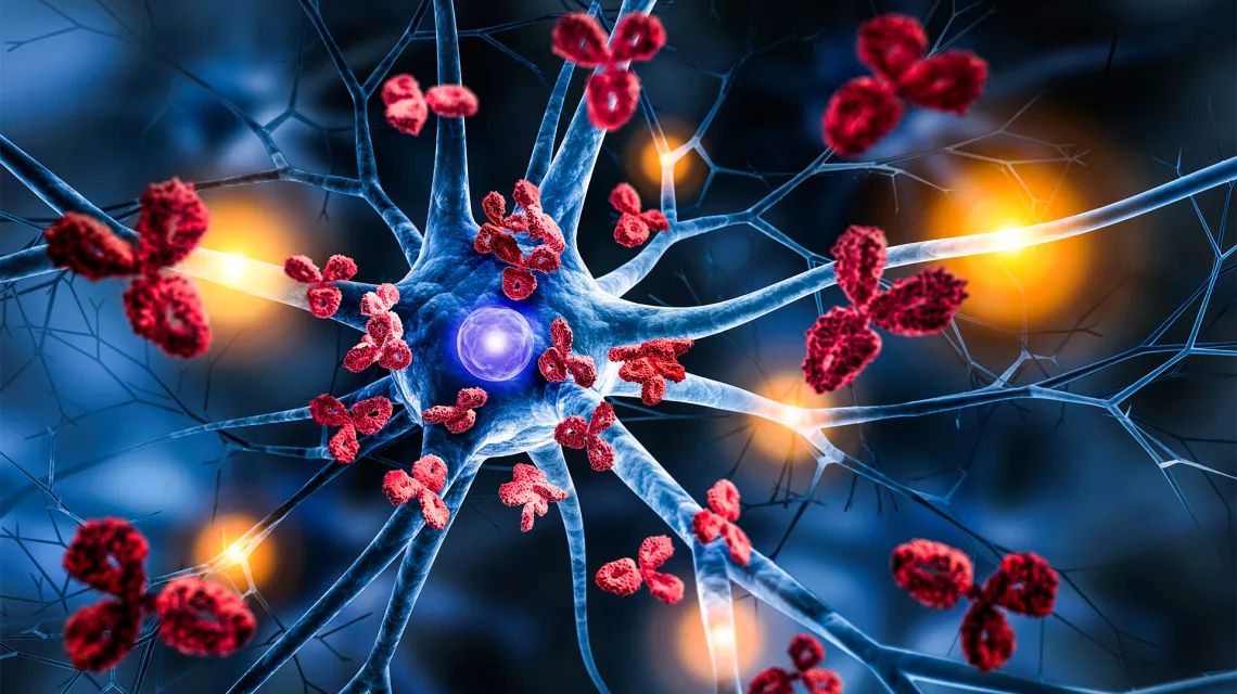 Komórka nerwowa atakowana przez przeciwciała./ Fot. Shutterstock