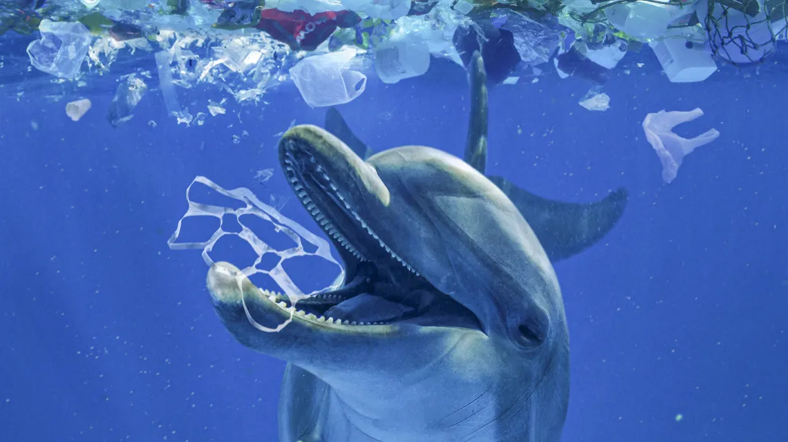Delfin butlonosy pośrod wielkiej wyspy pływających śmieci. Ocean Indyjski. / fot. PAULO DE OLIVEIRA / AFP