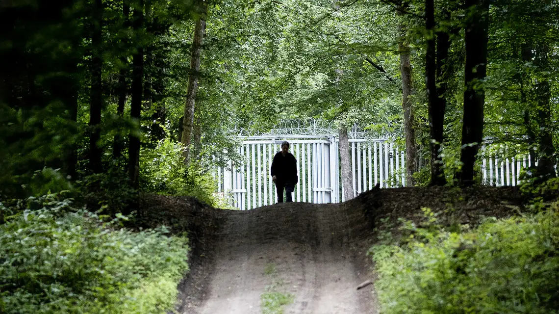 Puszcza Białowieska przy granicy z Białorusią. 3 czerwca 2024 r. // Fot. Maciej Łuczniewski / Reporter