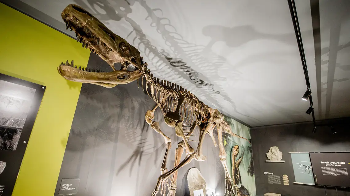 Muzeum paleontologiczne w Lisowicach ze zrekonstruowanym pierwszym odnalezionym w Polsce dinozaurem drapieżnym. Lisowice, 10 sierpnia 2024 r. // Fot. Daniel Dmitriew / Forum