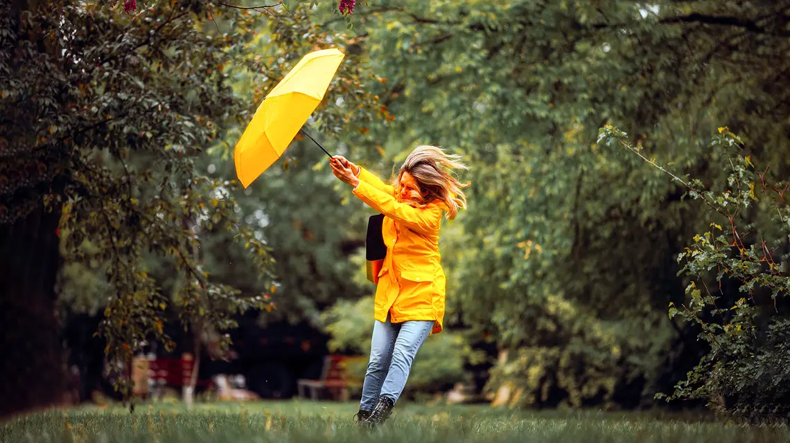 Nicoleta Ionescu / Shutterstock