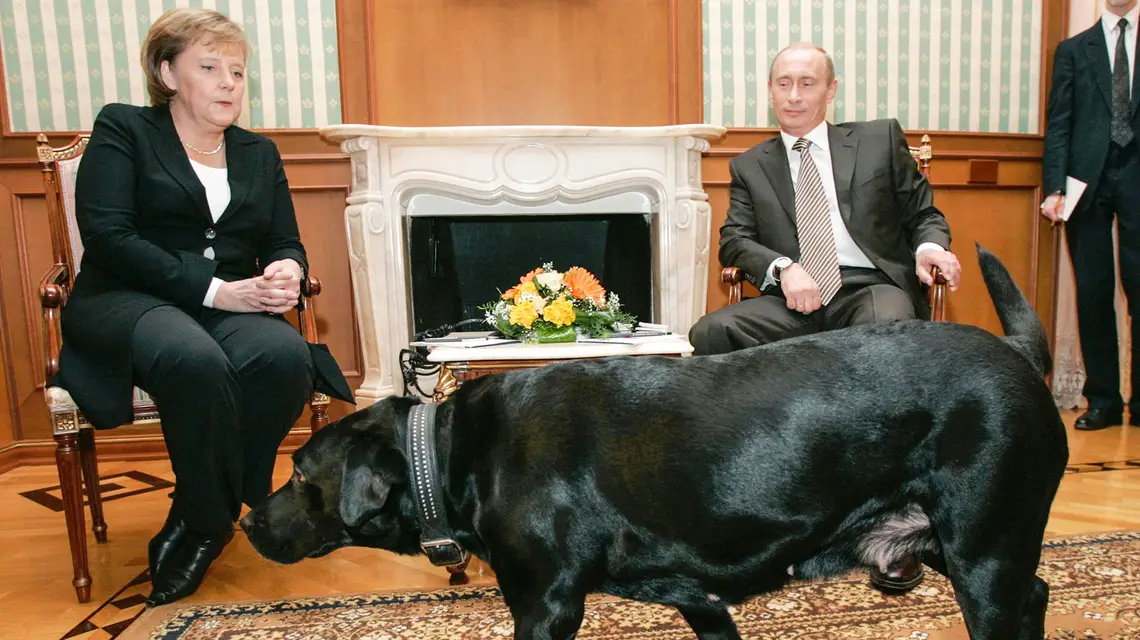 Podczas słynnego spotkania w Soczi w 2007 r. Putin – na oczach dziennikarzy – próbował ośmieszyć Merkel: wiedząc, że boi się psów, wpuścił swoją labradorkę Koni, która próbowała zaprzyjaźnić się z panią kanclerz. Merkel wspomina w książce, że z trudem zapanowała nad sobą do końca spotkania // Fot. TopFoto / Novosti / Forum
