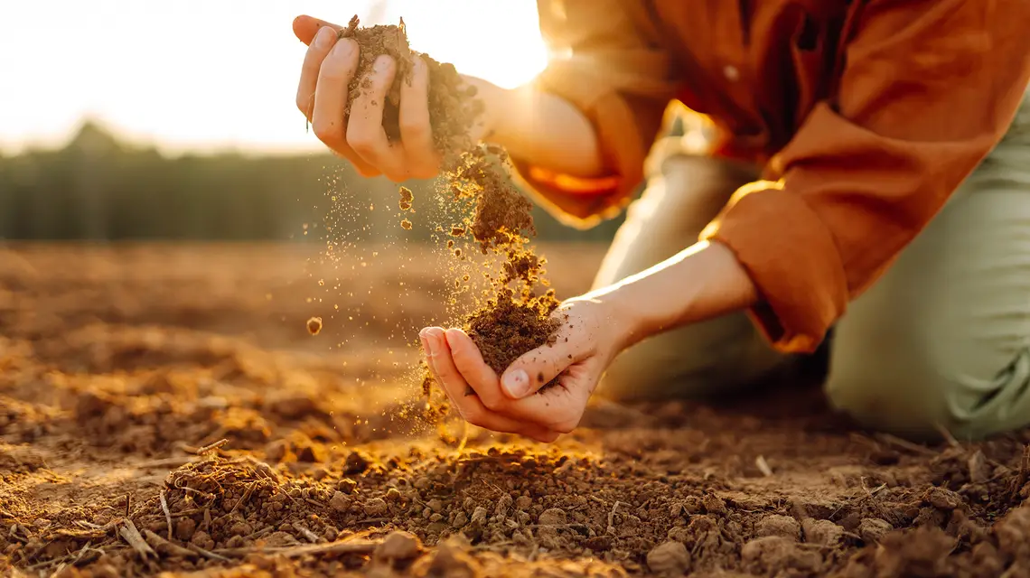 // Fot. maxbelchenko // Shutterstock