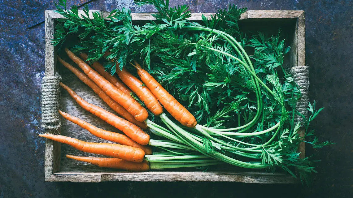 Fot. Aleksakarina / Adobe Stock