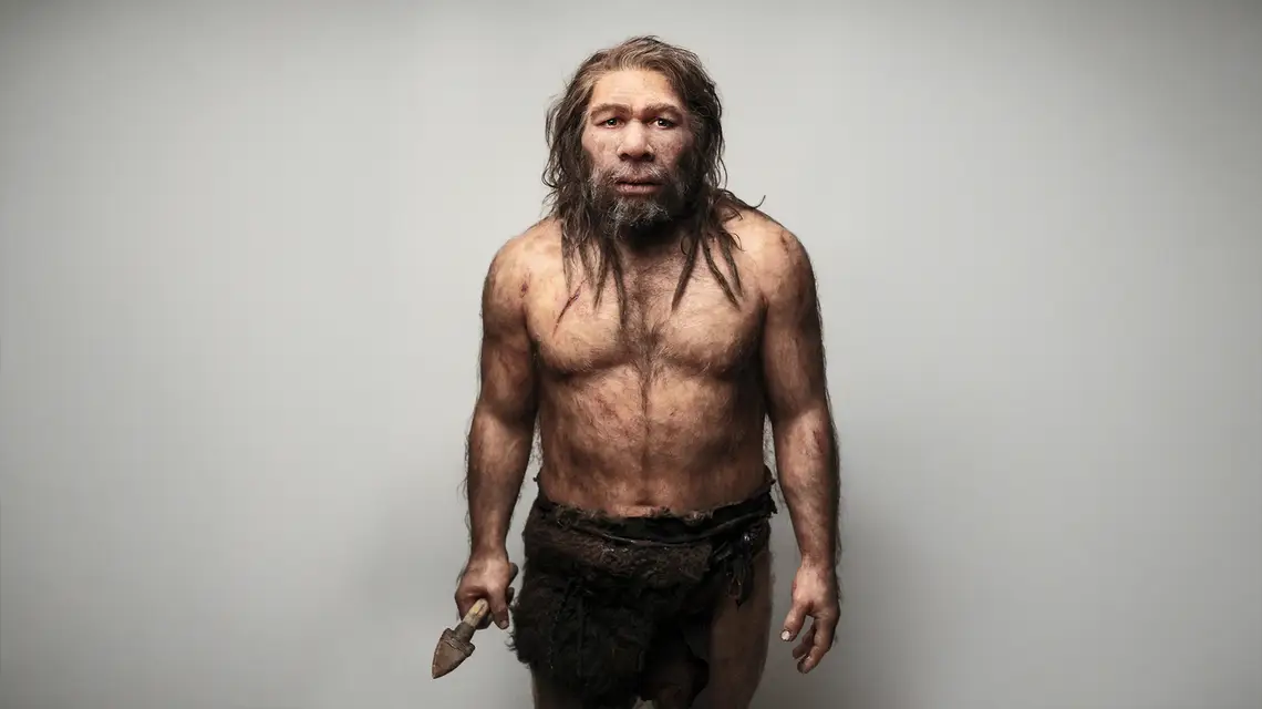 Neandertalczyk, model - rekonstrukcja: Elisabeth Daynes // Elisabeth Daynes / SPL / East News 